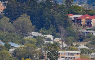 my-way-or-the-narrow-pathway:-michele-bullock’s-property-dilemma