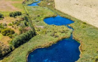 thai-cave-rescuer-fears-world-renowned-freshwater-ponds-nearing-‘tipping-point’-in-south-australia