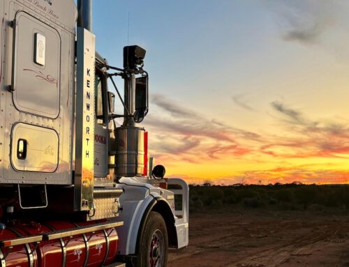 Seen cattle trucks driving north instead of south lately? There’s a reason for that rare sight