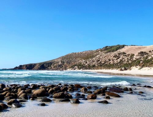 Bodies of two fishermen found in waters off Kangaroo Island after boat capsizes