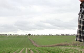 mineral-sands-mining-plans-spark-water-concerns-in-murray-darling-basin