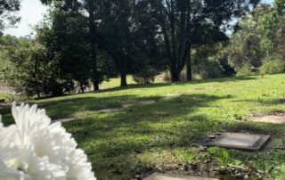 graveyard-robbery-sickens-border-community