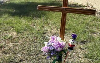 canberra-teenager-who-allegedly-drove-stolen-car-involved-in-fatal-crash-denied-bail