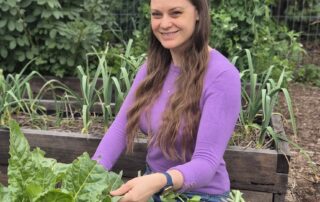 how-to-grow-a-veggie-patch-you-can-eat-from-each-week