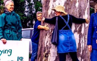 adelaide’s-‘abysmal’-canopy-cover-fuels-protests-against-tree-lopping
