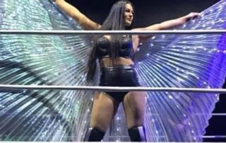 costumes-are-crucial-to-pro-wrestling.-but-they-weren’t-always-easy-to-find