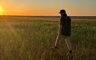 crunch-time-for-grain-growers-as-they-watch-their-crops-wither-from-frost-and-low-rainfall