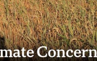 sa-cold-weather-having-devastating-impact-on-farmers