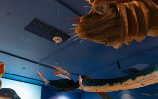 controversial-museum-‘reimagining’-vetoed-as-sa-government-promises-‘recalibrated’-future