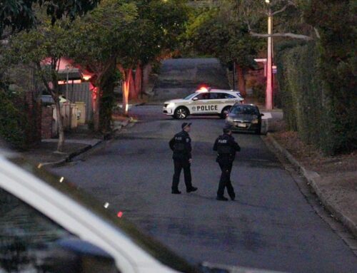 Glen Osmond siege ends with suspect tasered and arrested, police say