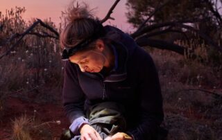 these-native-species-were-locally-extinct-but-are-now-reclaiming-their-desert-homeland