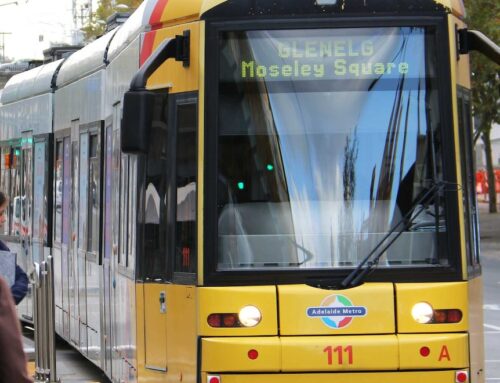 Labor’s tram revival on back burner despite warnings about future traffic congestion in Adelaide