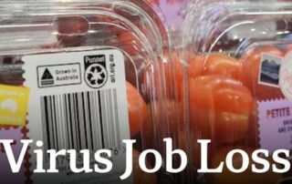 hundreds-of-jobs-at-risk-amid-tomato-virus-outbreak