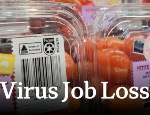 Hundreds of jobs at risk amid tomato virus outbreak