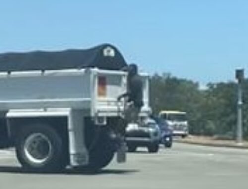 Man filmed hanging from truck during Queensland police chase in custody